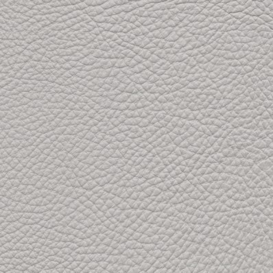 Pelle Spessorato Cenere 3018