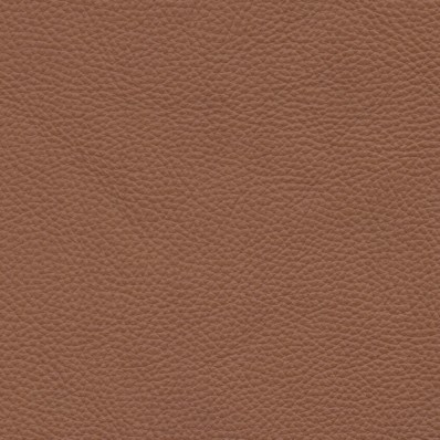 Pelle Spessorato Rum 3026
