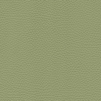 Pelle Spessorato Aloe 3032