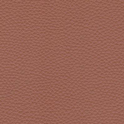 Pelle Pamplona Brandy 6503