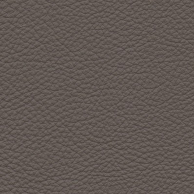Pelle Spessorato Fango 3016
