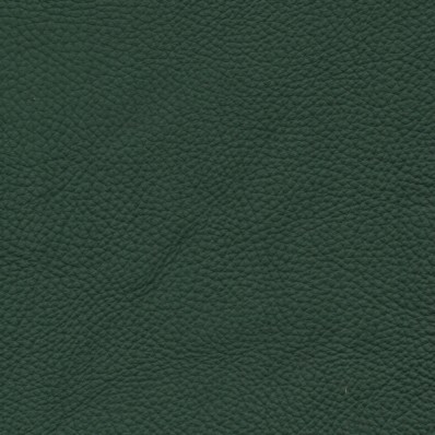 Pelle Spessorato Forest 3021