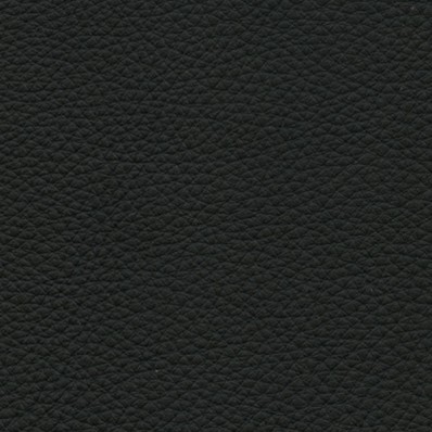Pelle Spessorato Nero 3008