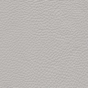 Pelle Spessorato Cenere 3018