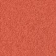 Pelle Spessorato Papaya 3031