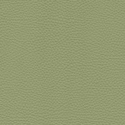 Pelle Spessorato Aloe 3032