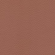 Pelle Pamplona Brandy 6503
