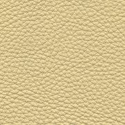 Pelle Spessorato Beige 3002