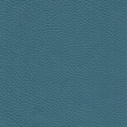 Pelle Spessorato Blu Marine 3020