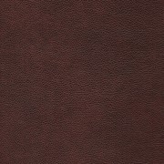 Pelle Terra col. Tabacco 5704