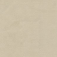 Vogue col. Beige 003