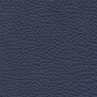 Pelle Spessorato Prussia 3023