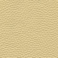 Pelle Spessorato Beige 3002