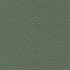 Pelle Spessorato Alga 3036