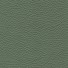Pelle Spessorato Alga 3036
