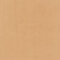 Vogue col. Honey 010
