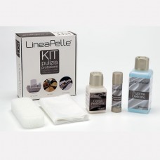 Leather cleaning and protection Kit